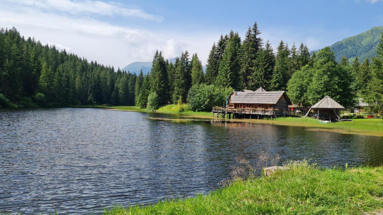 Haus Emmy - Urlaub Bei Freunden Villa Hohentauern Exterior photo